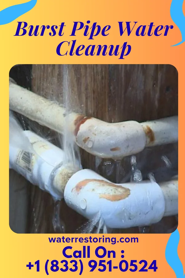 Burst Pipe Water Cleanup in Cullen, LA
